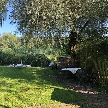 Lägenhet Fewo Weissensberger Weiher-lindau Weißensberg